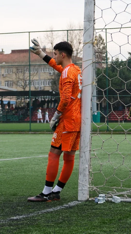 Statistical Analysis of Collingwood Magpies Debutants