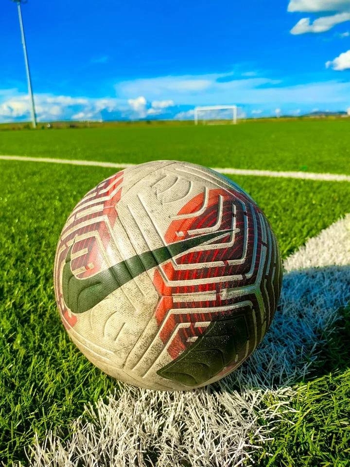 Collingwood Magpies Handball Efficiency Statistics