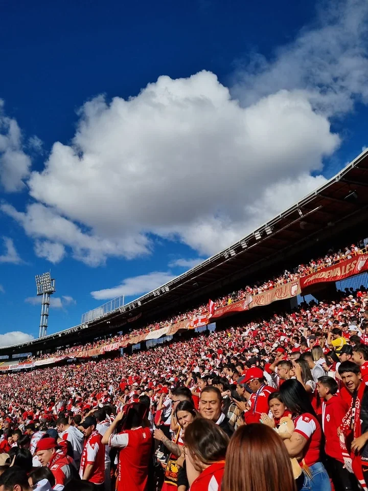 Collingwood Magpies Most Games Played: Statistics