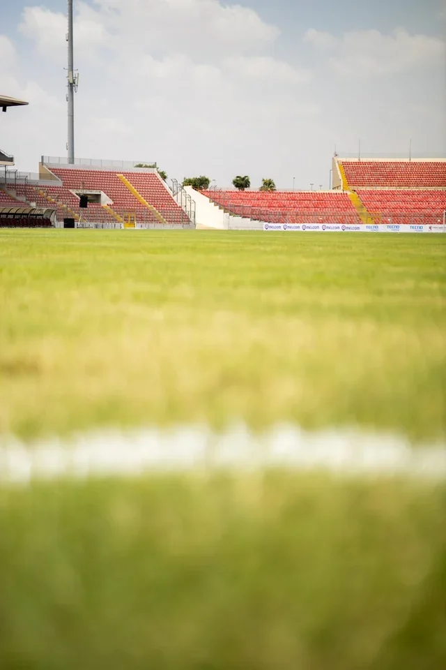 Welcome to The Magpie Nest, where we dive deep into the heart of all things black and white. For new supporters and seasoned members of the